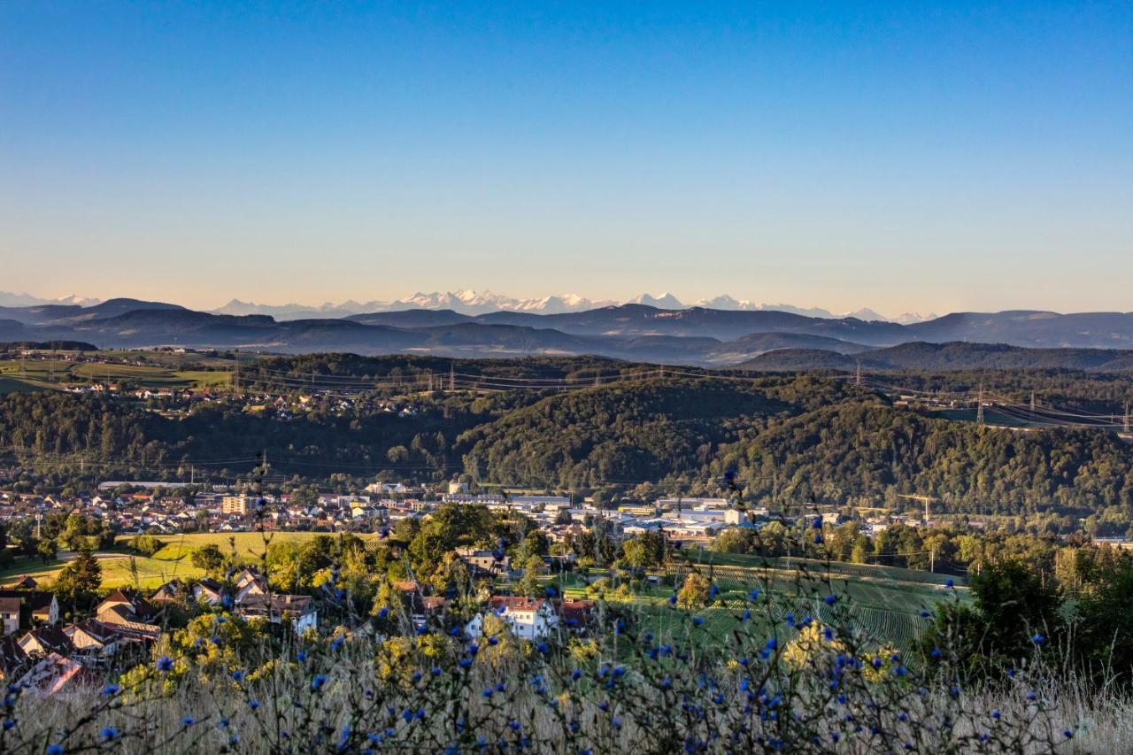 Ferienwohnung im Alpenblick Steinen  Exterior foto